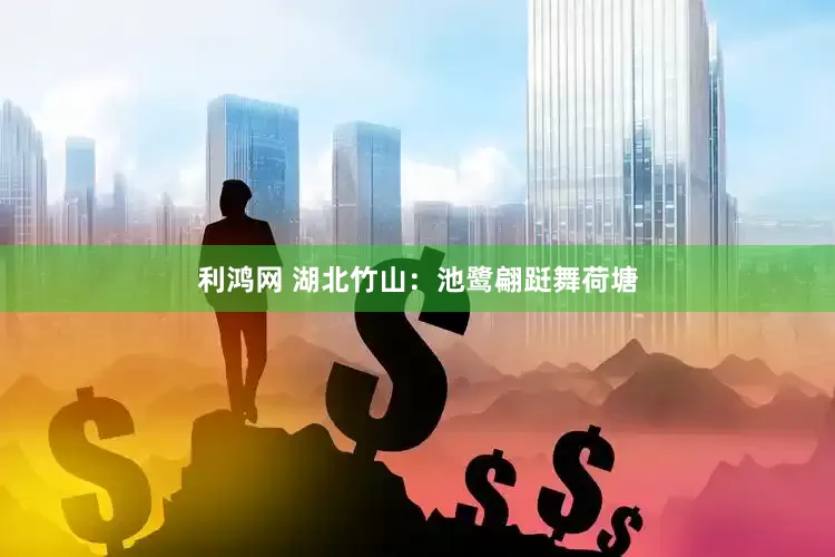 利鸿网 湖北竹山：池鹭翩跹舞荷塘
