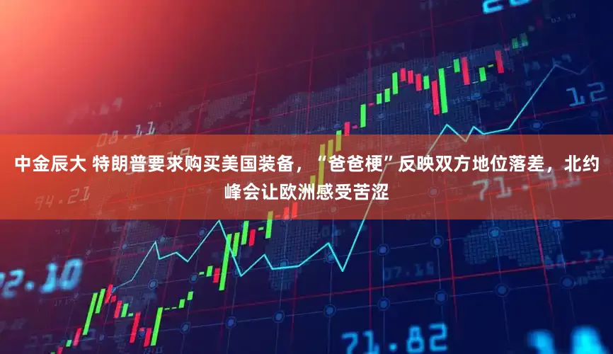 中金辰大 特朗普要求购买美国装备，“爸爸梗”反映双方地位落差，北约峰会让欧洲感受苦涩
