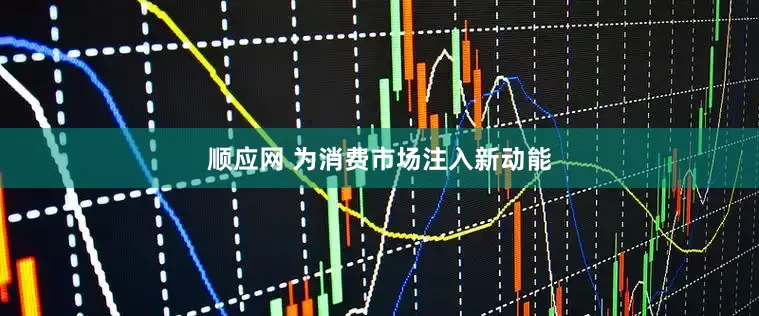 顺应网 为消费市场注入新动能