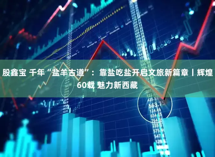 股鑫宝 千年“盐羊古道”：靠盐吃盐开启文旅新篇章丨辉煌60载 魅力新西藏