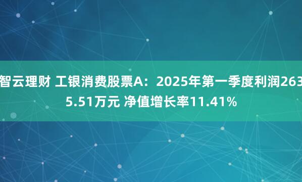 智云理财 工银消费股票A:2025年第一季度利润2635.51万元 净值增长率11.41%